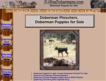 Tablet Screenshot of k-ninedobermans.com